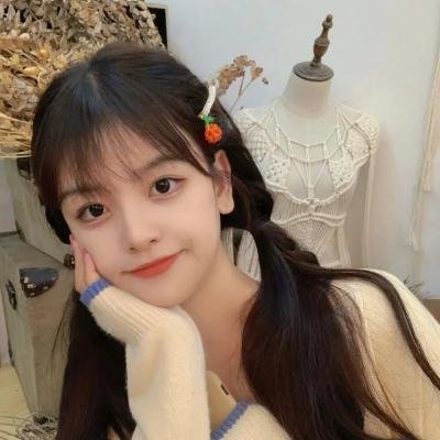 小鸟之翼第二季 海报
